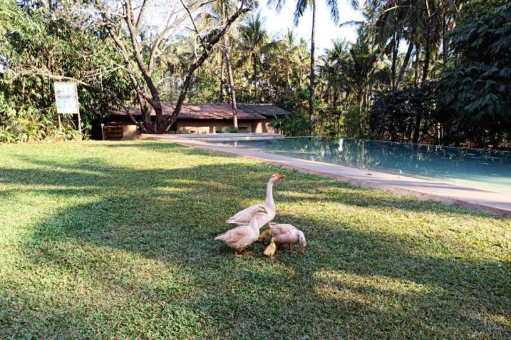 The Orchard Resort Belgaum Exteriör bild