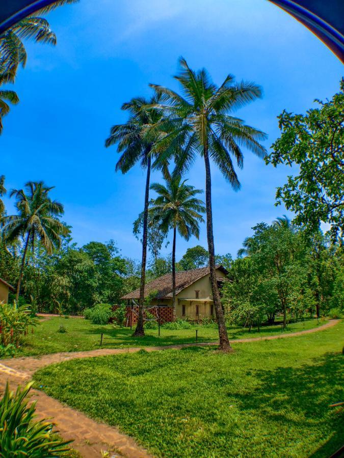 The Orchard Resort Belgaum Exteriör bild
