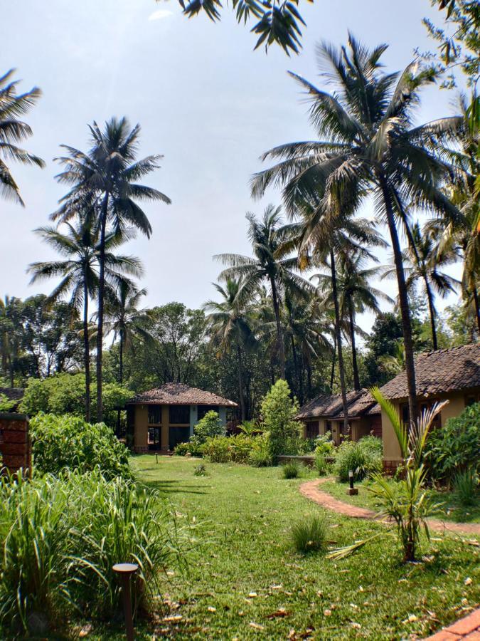 The Orchard Resort Belgaum Exteriör bild