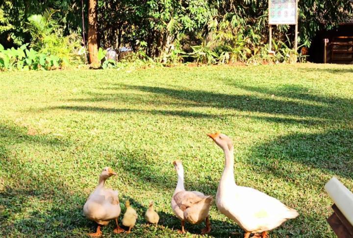The Orchard Resort Belgaum Exteriör bild